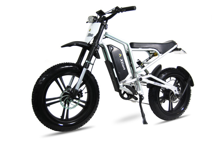 X1000 Fat-Tire Dirt E-Bike