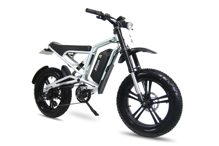 X1000 Fat-Tire Dirt E-Bike