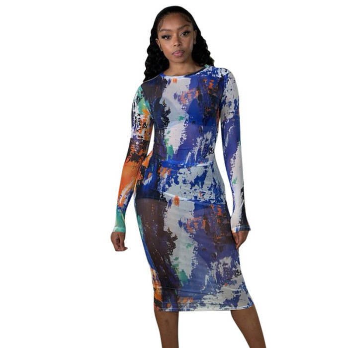 Round Neck Long-Sleeved Mesh Print Sexy See-Through Slim Long Dress