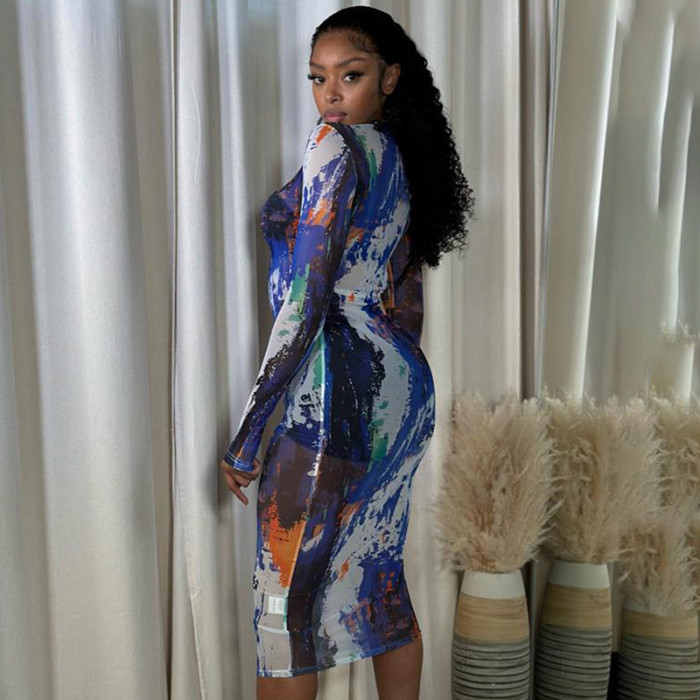 Round Neck Long-Sleeved Mesh Print Sexy See-Through Slim Long Dress