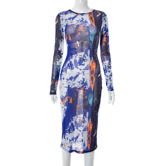 Round Neck Long-Sleeved Mesh Print Sexy See-Through Slim Long Dress