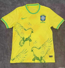 22-23 Brazil Special Edition Fans Training Soccer Jersey