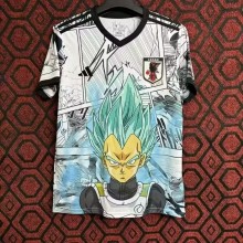 24-25 Japan Commemorative Edition Fans Soccer Jersey