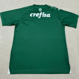 24-25 Palmeiras Green Special Edition Training shirts