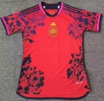 24-25 Spain Fans Soccer Jersey