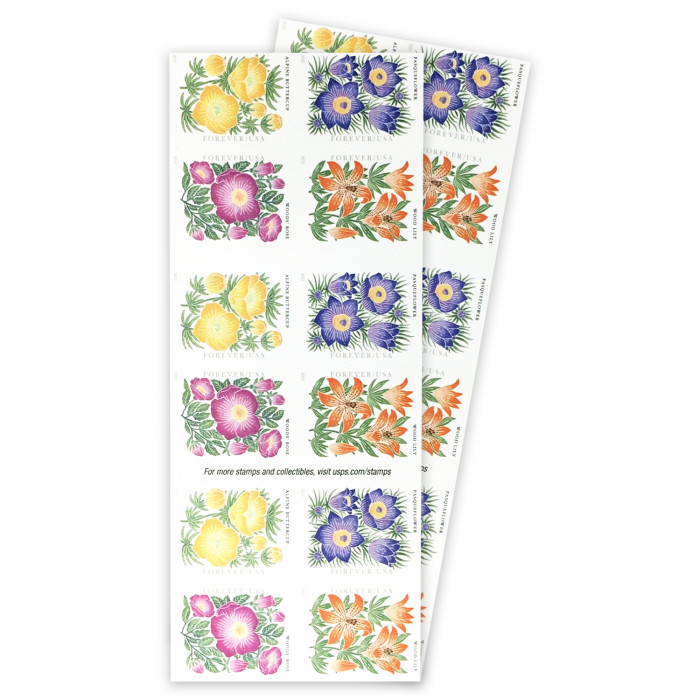 US 27.50 Mountain Flora, 100 Pcs