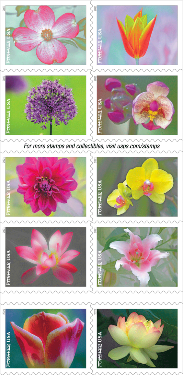 US 28.00 Garden Beauty 2021 USPS Forever Stamps 100 Pcs