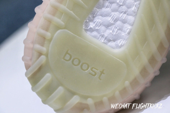 Yeezy Boost 350 V2  True Form  2019 ( A1)
