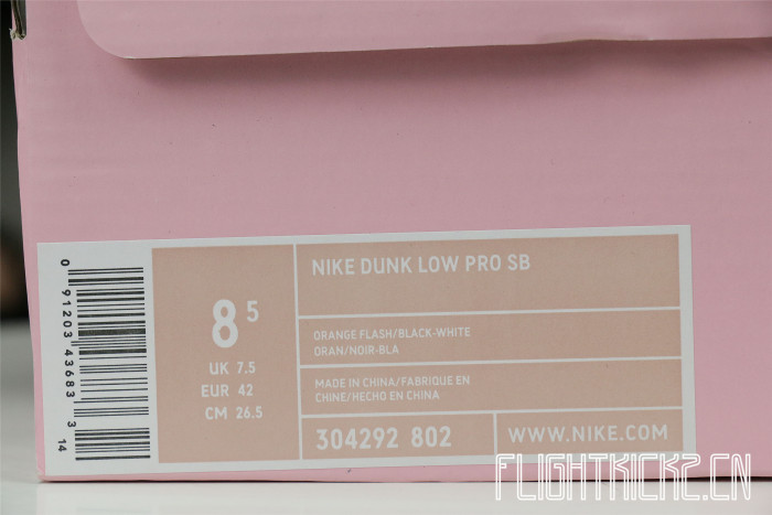 Nike SB Dunk Low Raygun White 2005