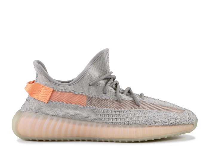 Yeezy Boost 350 V2  True Form  2019 ( A1)