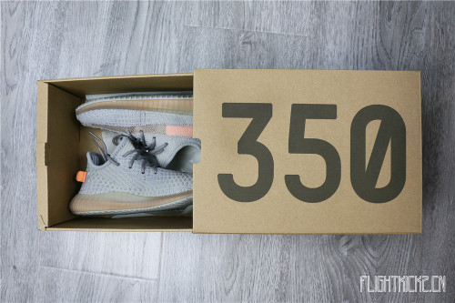 Yeezy 350 Boost  Ture Form  Kid (Ln5 A1)