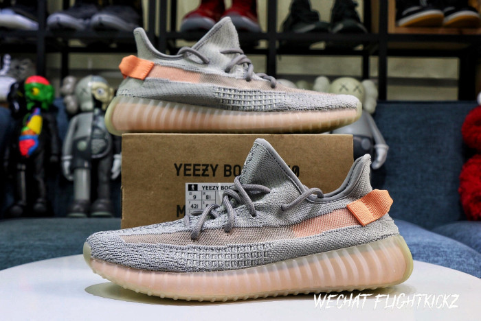 Yeezy Boost 350 V2  True Form  2019 ( A1)
