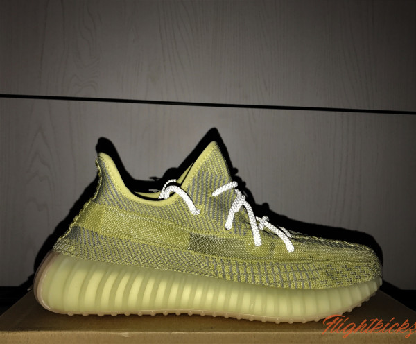 Yeezy Boost 350 V2 Antlia None Reflective ( A1)