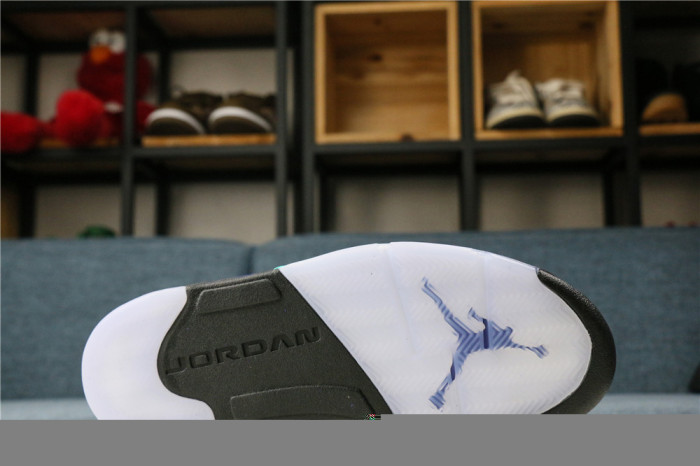 Air Jordan 5 Retro  Alternate Grape  2020