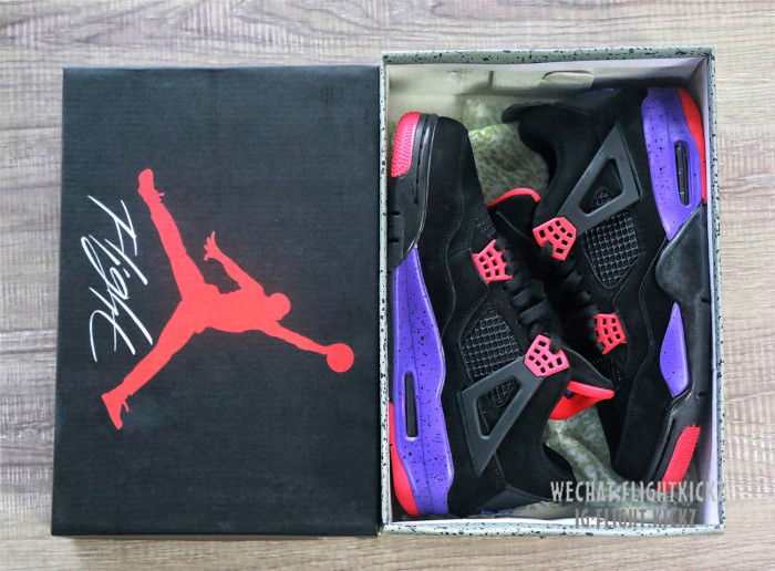 Air Jordan 4 Retro  Raptor  2019