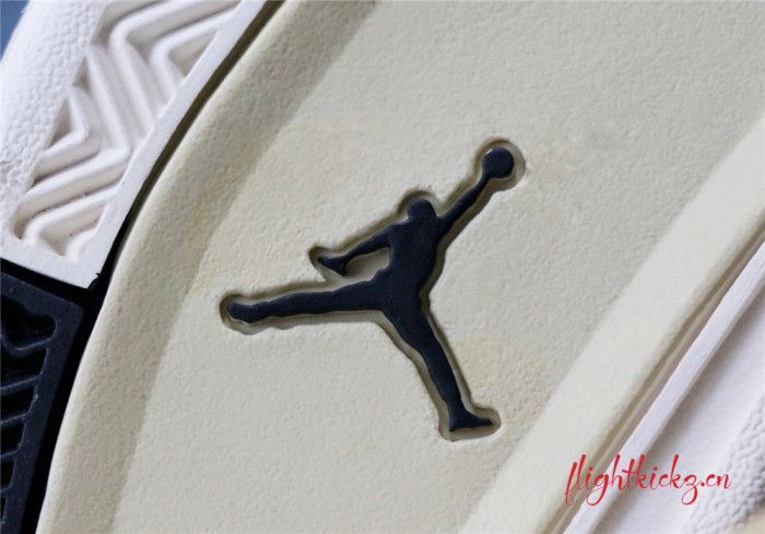 Air Jordan IV 4 Retro  Mushroom  2019