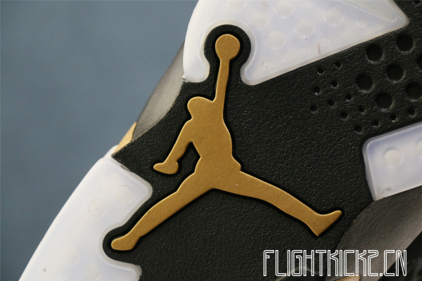 2020 Air Jordan 6 DMP (Defining Moments)