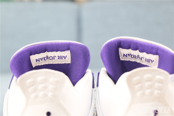 Air Jordan 4 Retro Purple Metallic 2020 ( A1)
