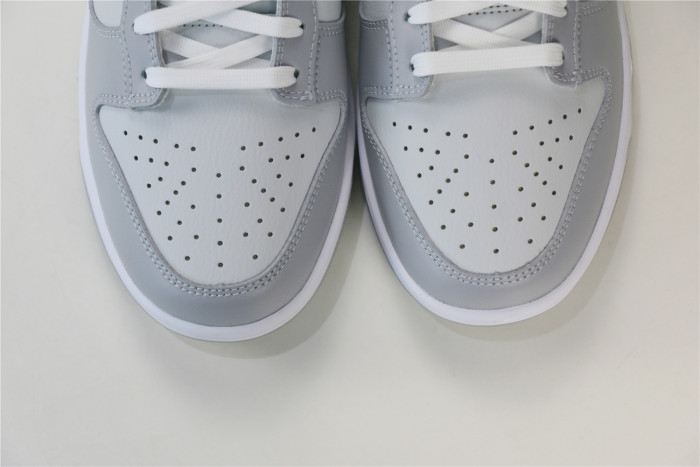 Nike Dunk Low Two Tone Grey DJ6188-001