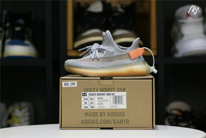 Adidas Yeezy Boost 350 V2 True Form KID