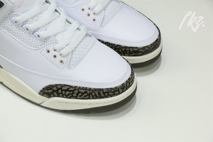 Air Jordan 3 Retro Neapolitan Dark Mocha 2022