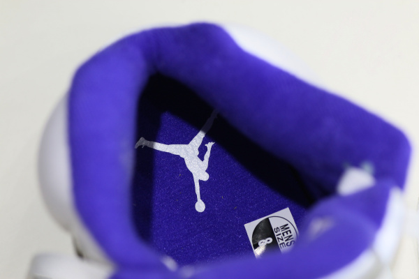 Air Jordan 5 Concord 2022（A1）