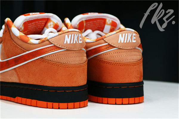 Nike dunk Orange Lobster 2022（A1）