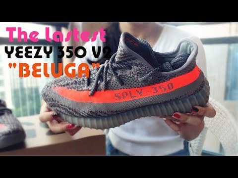 Adidas Yeezy 350 Boost V2  SPLV   Beluga  2016 ( A1)