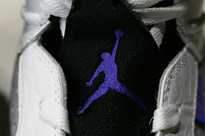 AIR JORDAN 6 RETRO Flight Nostalgia 2022