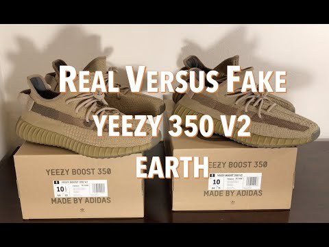 2020 Yeezy 350 V2  Earth ( A1)