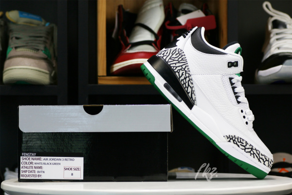 Air Jordan 3  Oregon Duck  Pit Crew White