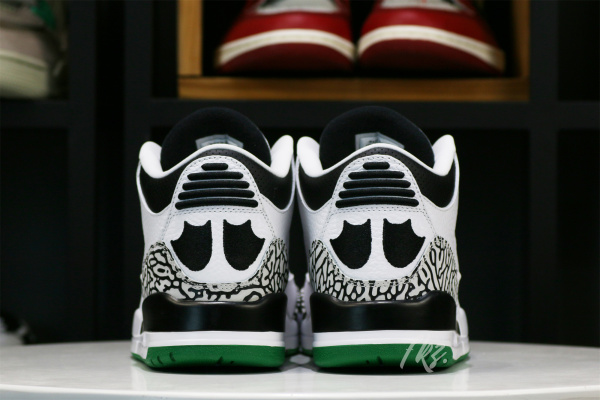 Air Jordan 3  Oregon Duck  Pit Crew White