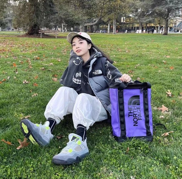 TNF 1996 Basic Down Vest