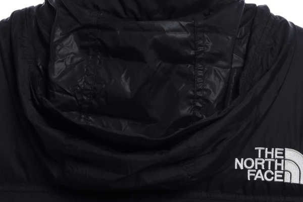 TNF 1996 Basic Down Vest