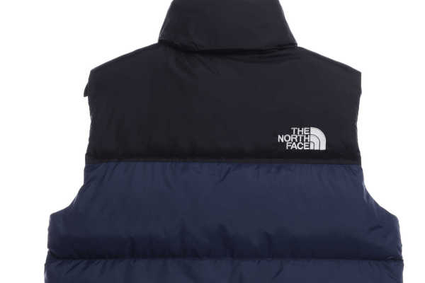 TNF 1996 Basic Down Vest