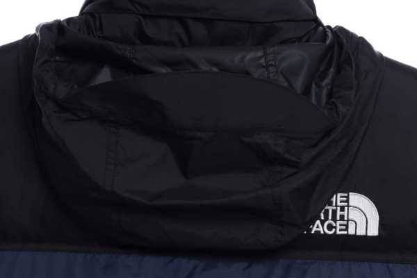 TNF 1996 Basic Down Vest