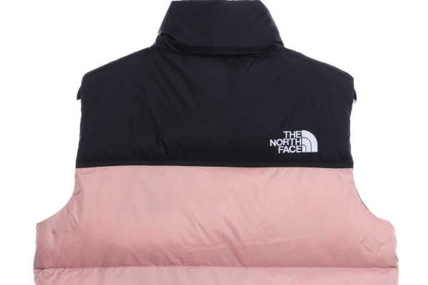 TNF 1996 Basic Down Vest