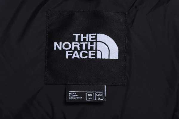 TNF 1996 Basic Down Vest