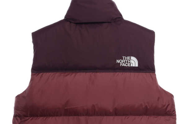 TNF 1996 Basic Down Vest