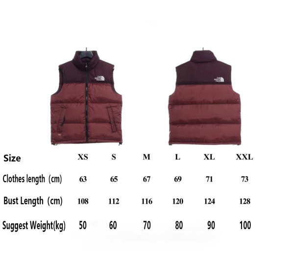 TNF 1996 Basic Down Vest