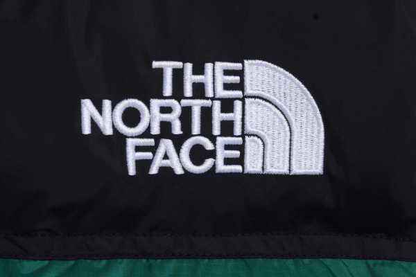 TNF 1996 Basic Down Vest