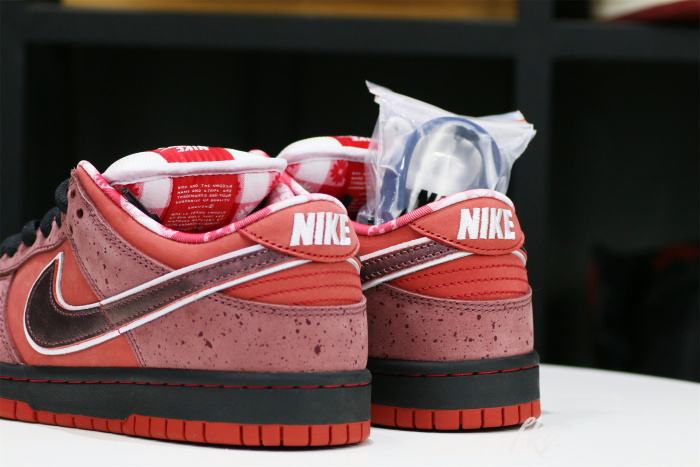Nike SB Dunk Low Concepts Red Lobster