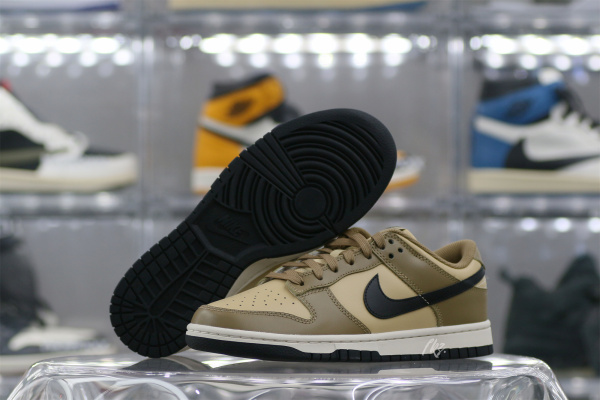 Nike Dunk Low Dark Driftwood (W)