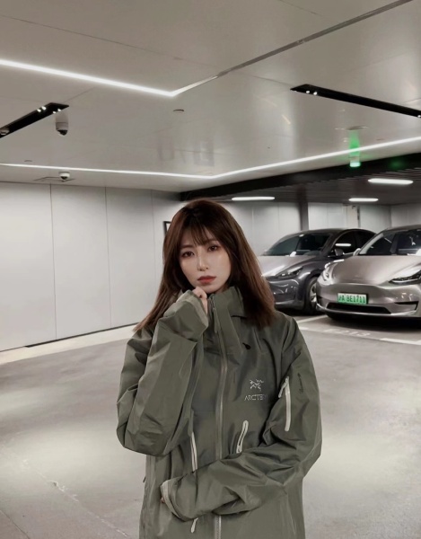 Arc'teryx sixth generation gold embroidery hard shell jacket