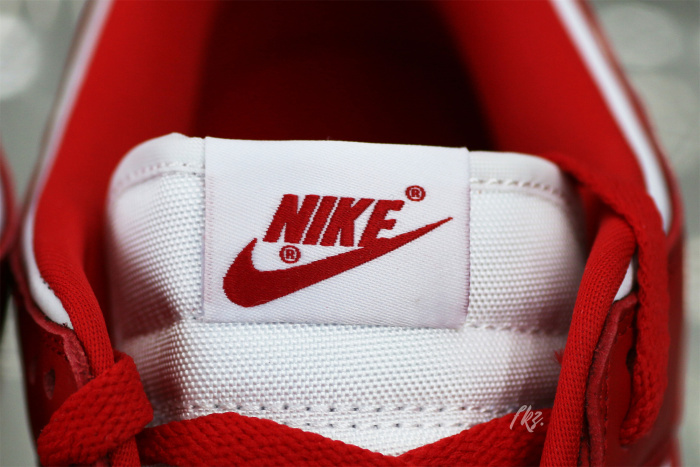 Nike SB Dunk Low University Red 2020 ( A1)