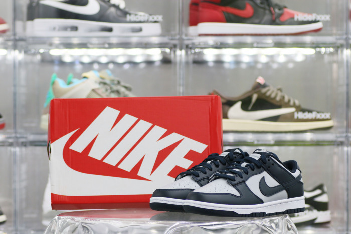 Nike Dunk Low Georgetown