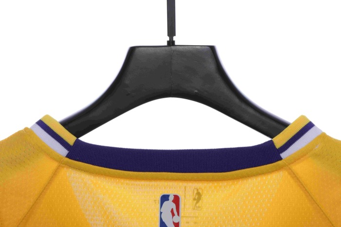 James Lakers home jersey No. 23