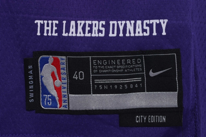 NBA Lakers James James No. 6 jersey