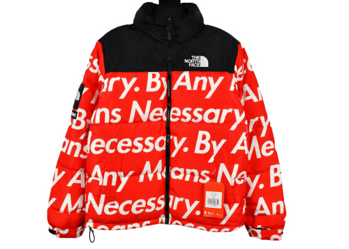 Supreme x The North Face TNF 15FW By Any Means Down Jacket