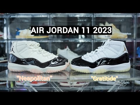Air Jordan 11 DMP Gratitude 2023 (LN5 A1)